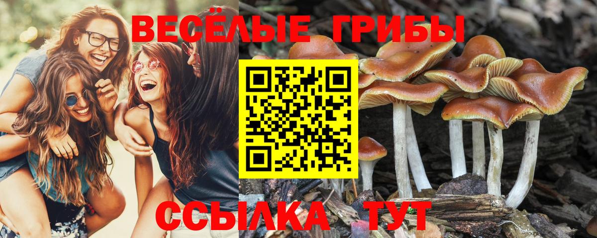 Псилоцибиновые грибы Magic Shrooms  Вход с VPN  Галлюциногенные грибы ЛСД  Ноябрьск 