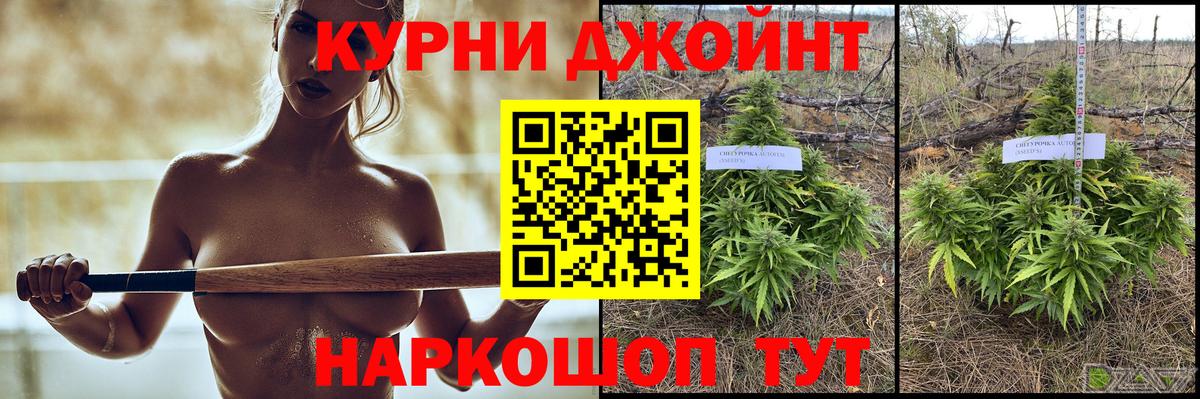 Бошки Шишки конопля Ноябрьск